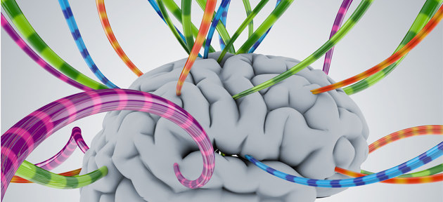 ‘Aprendizado on-line é mais natural para o cérebro’