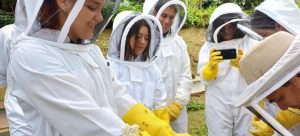 Ilustração do post Estudantes criam colmeia inteligente para proteger abelhas e incentivar apicultura sustentável