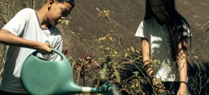 Ilustração do post Porvir vence premiação internacional de jornalismo de soluções