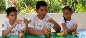 Ilustração do post Em Manaus, estudantes ribeirinhos se transformam em jovens cientistas para monitorar estiagem