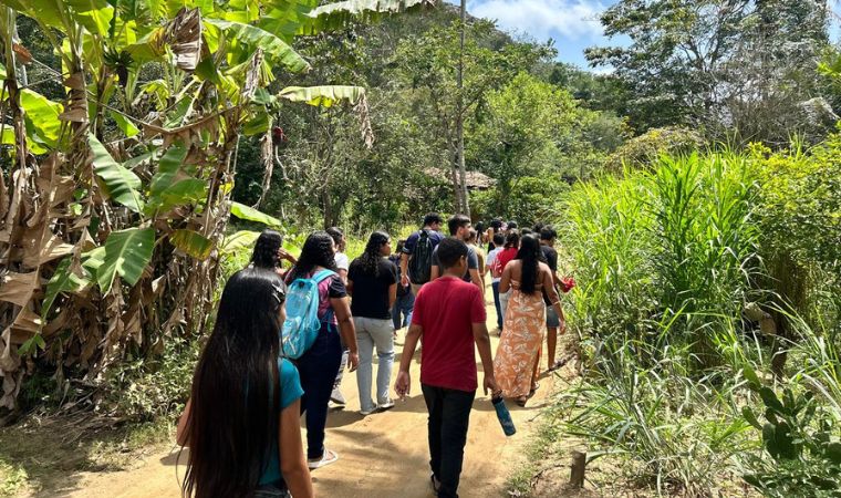 Grupo caminha por trilha de terra cercada de vegetação